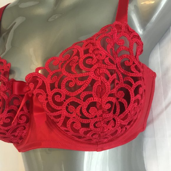 Victoria's Secret 34DD Unlined 1/2 Padding Push Up Cherry Red Lace Underwire Bra - Picture 7 of 16